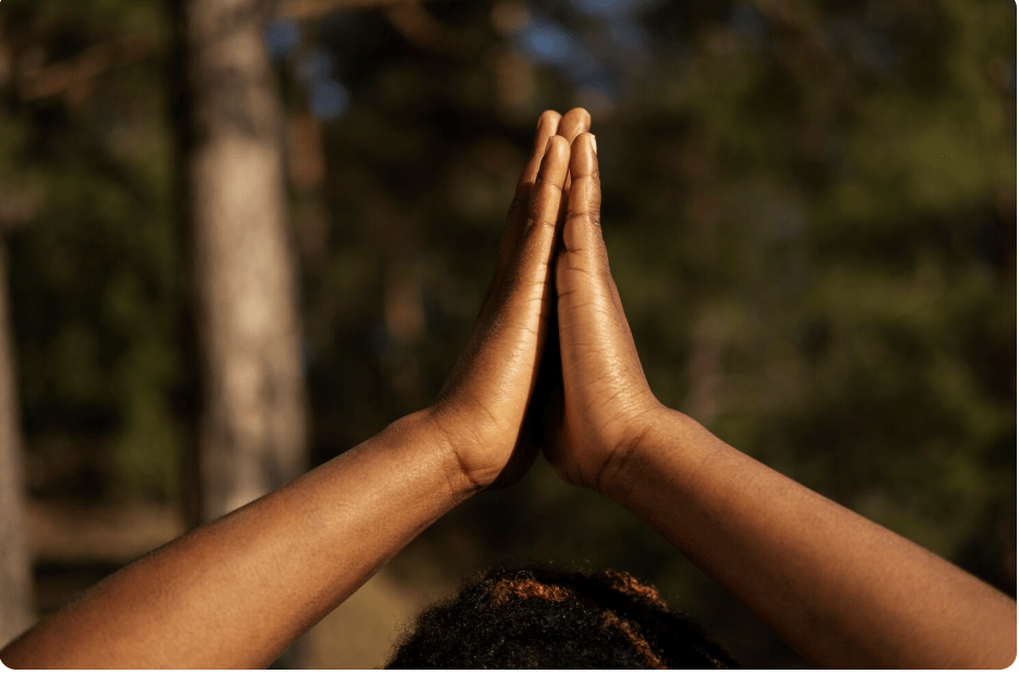 Stroll Nine: GRATITUDE